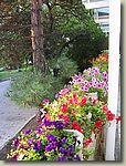 170903-000.VI.jpg